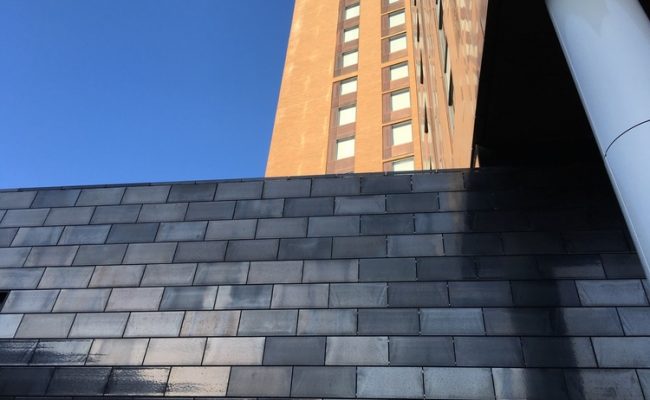 IMG_1577